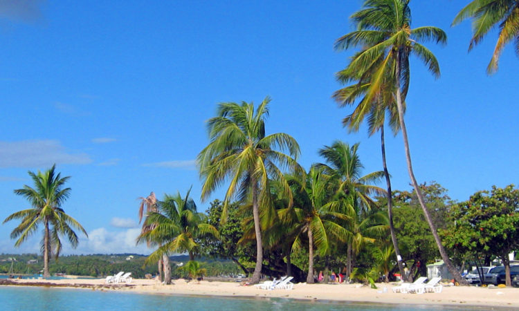 Lagon de Sainte-Anne Guadeloupe