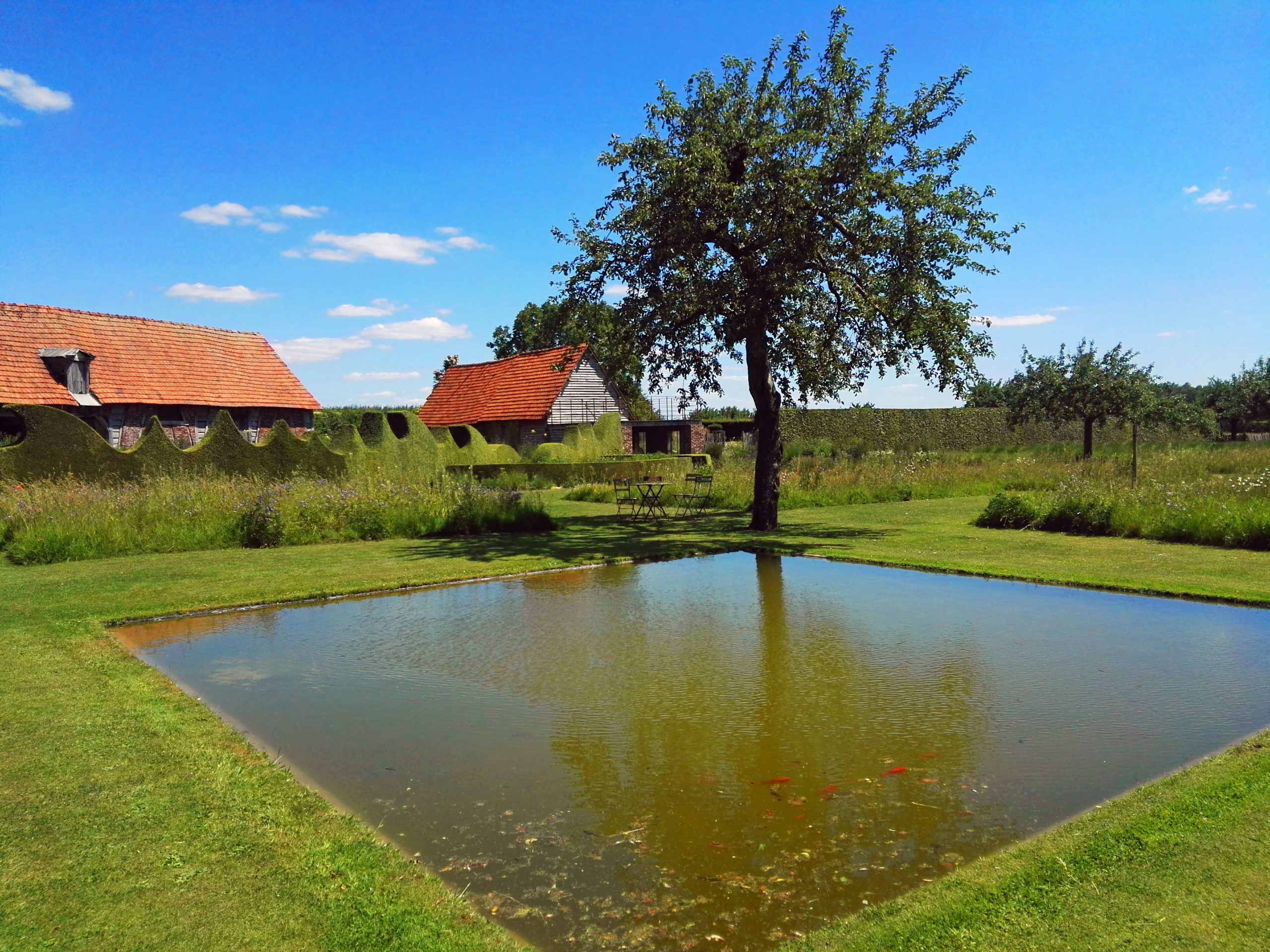 Miroir au Jardin Plume