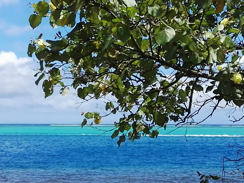 Dégradé de couleurs à Pihaena sur l'île de Moorea, archipel de la Société, Polynésie Française