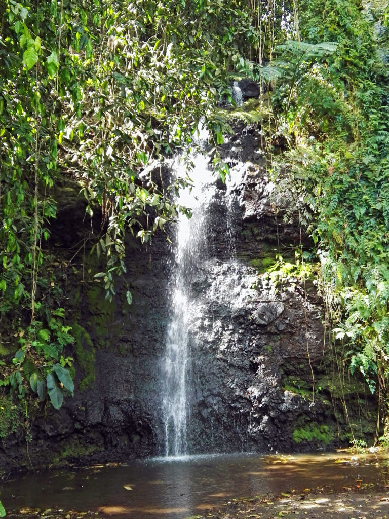 Cascade jardin de Vaipahi  sur l'île de Tahiti archipel de la Société en Polynésie Française