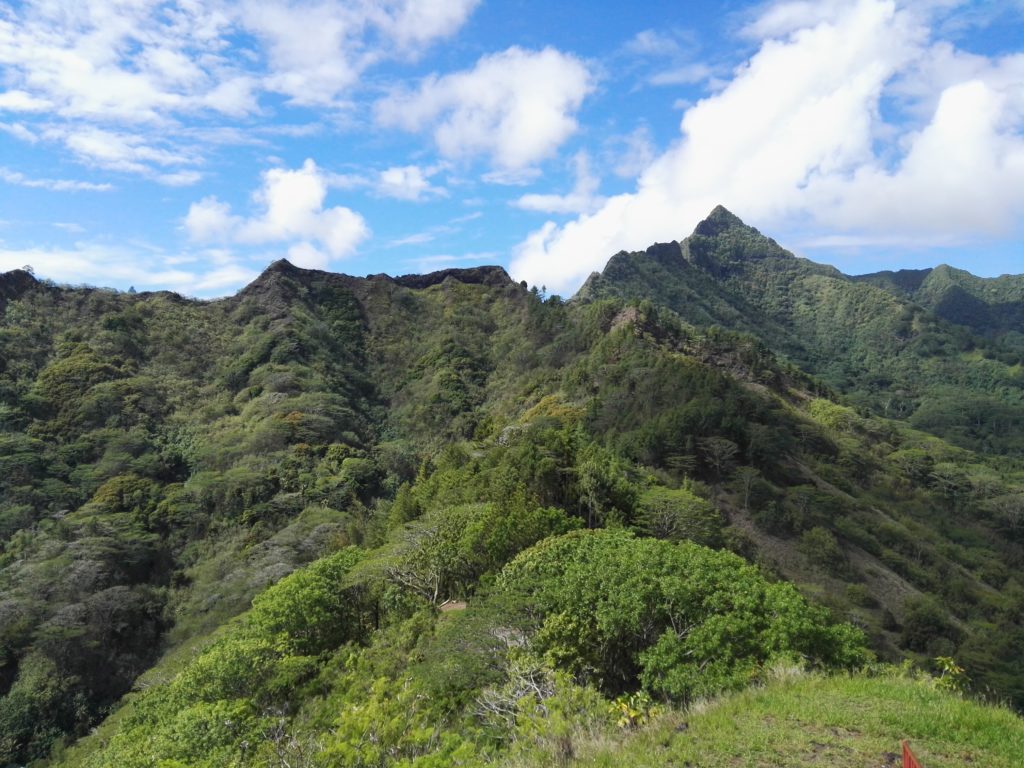 Pao Pao sur l'île de Moorea, archipel de la Société, Polynésie Française