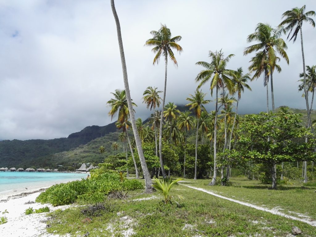 Plage de Toatea sur l'île de Moorea, archipel de la Société, Polynésie Française