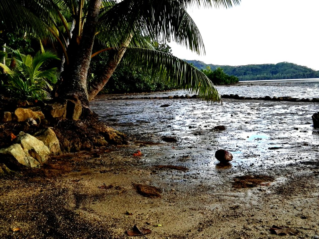 Le lagon de Bourayne à marée basse, archipel de la Société en Polynésie Française