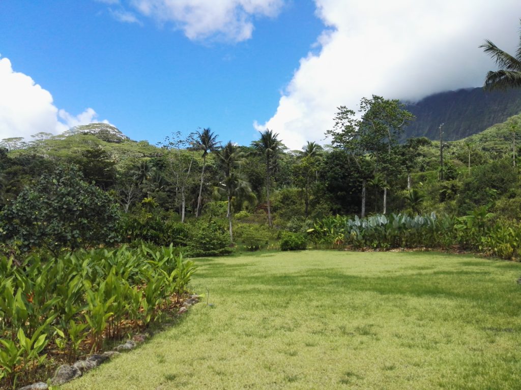 Jardin Botanique de Faaro sur l'île de Raiatea, archipel de la Société Polynésie Française