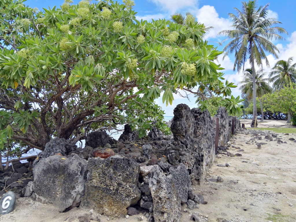 Marae lignée des Cadets ’Ōpū Teina de Taputapuātea sur l'île de Raiatea, archipel de la Société en Polynésie Française