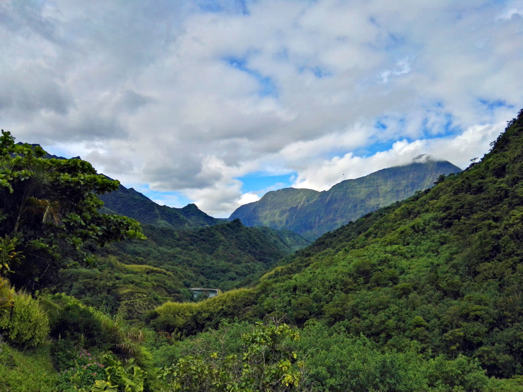 Vue sur la montagne vallée de Papenoo  sur l'île de Tahiti archipel de la Société en Polynésie Française