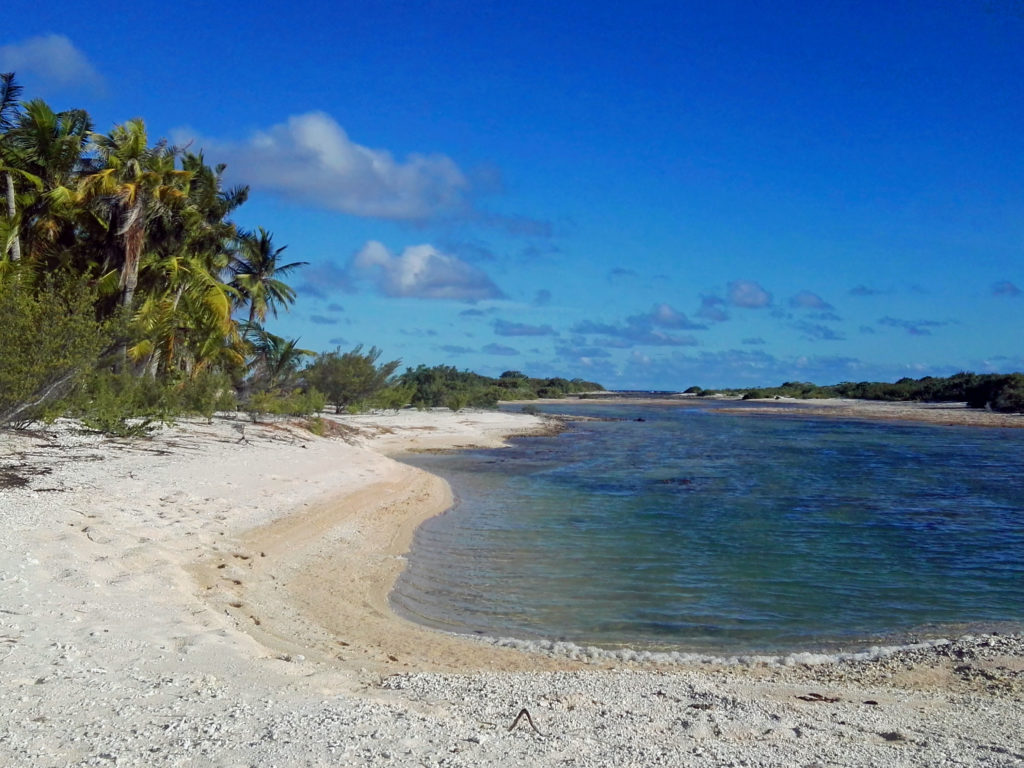 Plage de sable blanc et rose atoll de Tikehau archipel des Tuamotu Polynésie Française