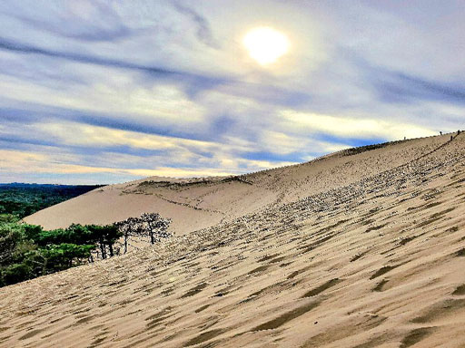 La dune du Pilat dans le bassin d'Arcachon
