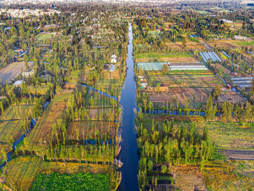 Que voir au Mexique en 10 jours Les jardins de Xochimilco au Mexique