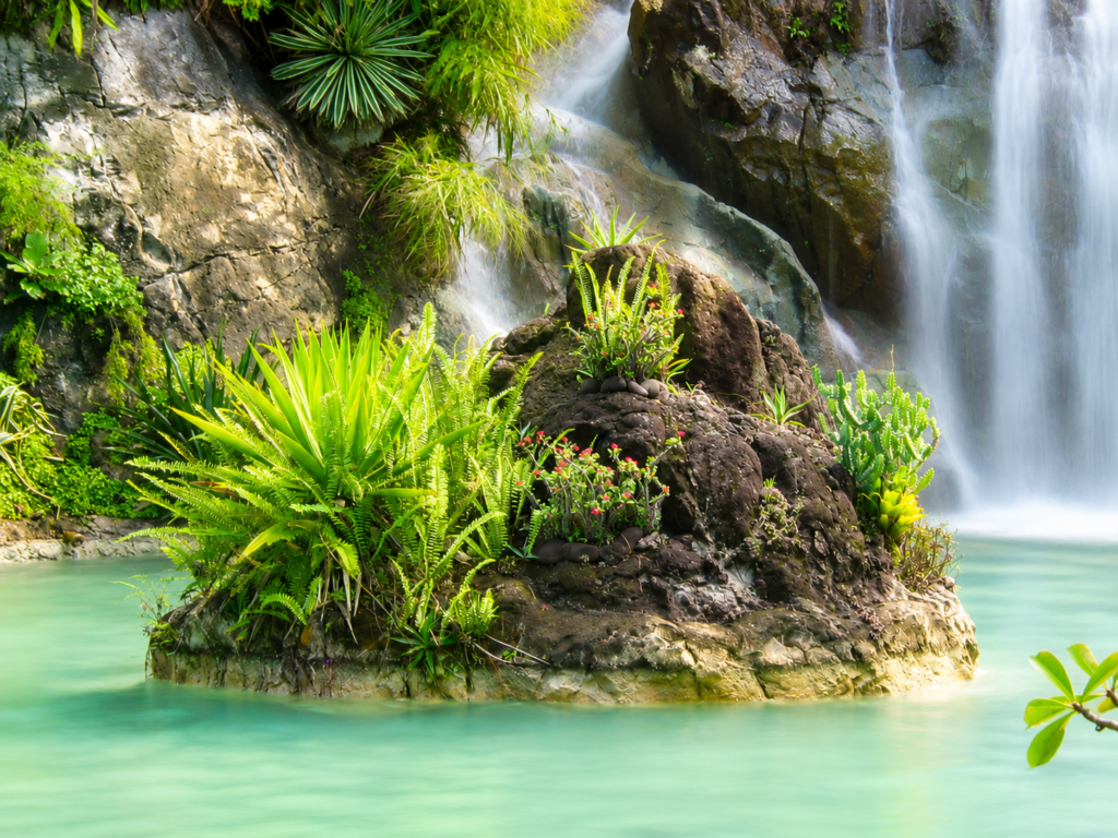Découvrir le Jardin Botanique de Deshaies : cascade à proximité du restaurant