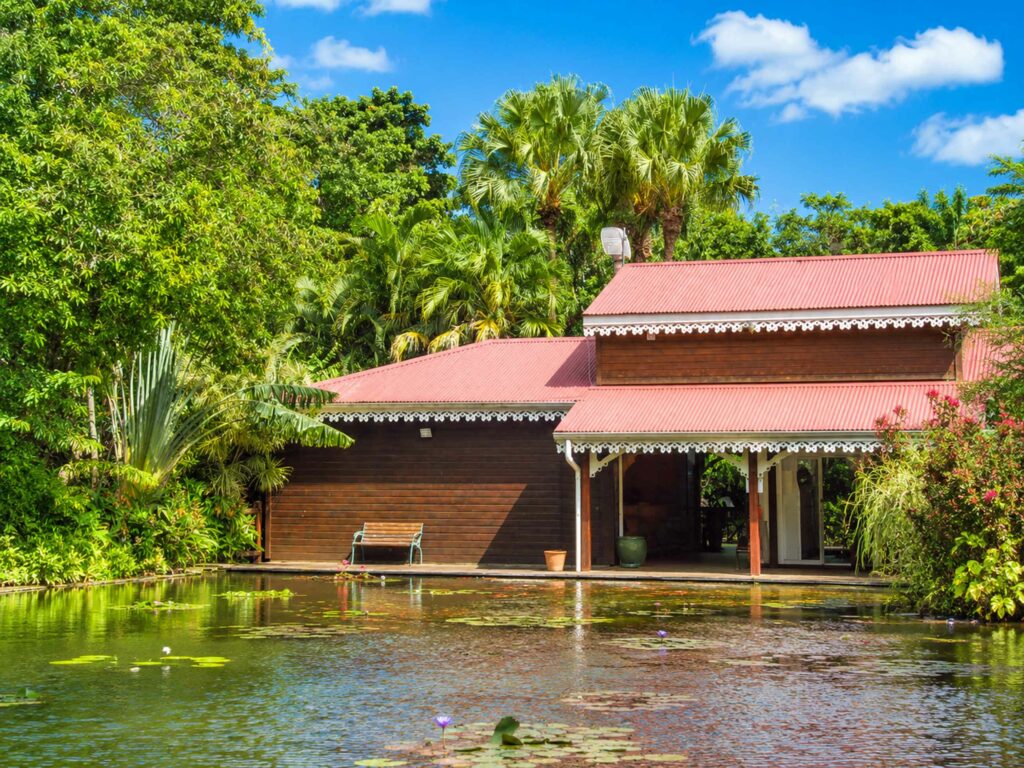 Découvrir le Jardin Botanique de Deshaies : l'étang aux carpes Koï