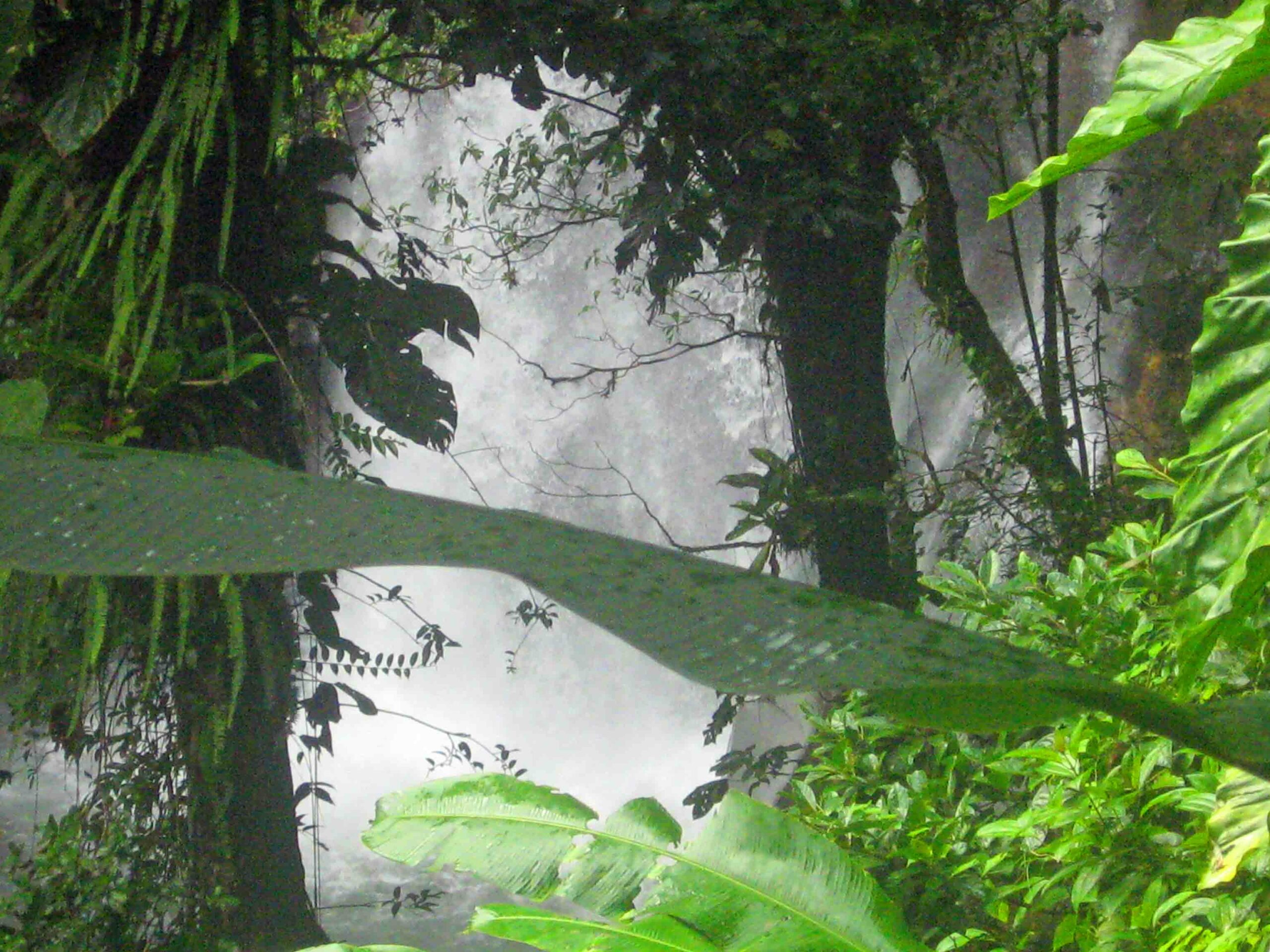 Que faire en Guadeloupe Chute du Carbet en Basse-Terre