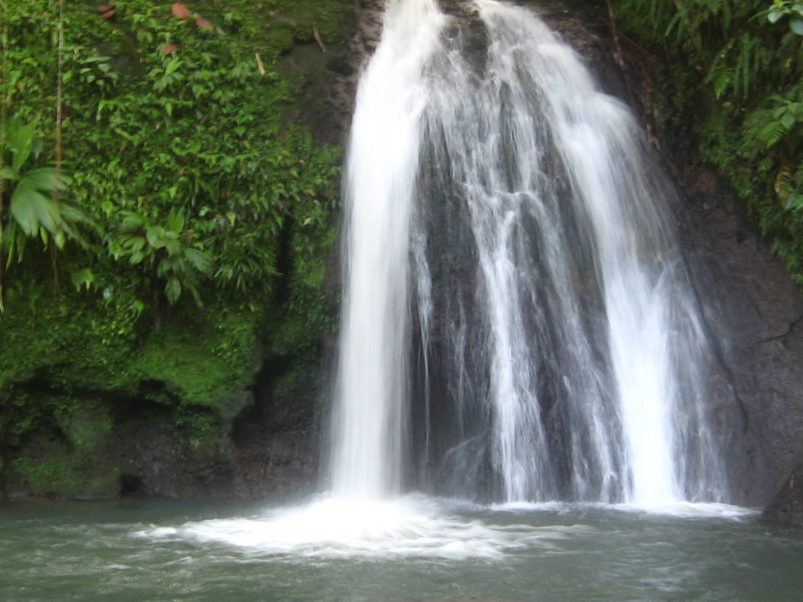 Que faire en Guadeloupe 
Cascade aux écrevisses en Basse-Terre