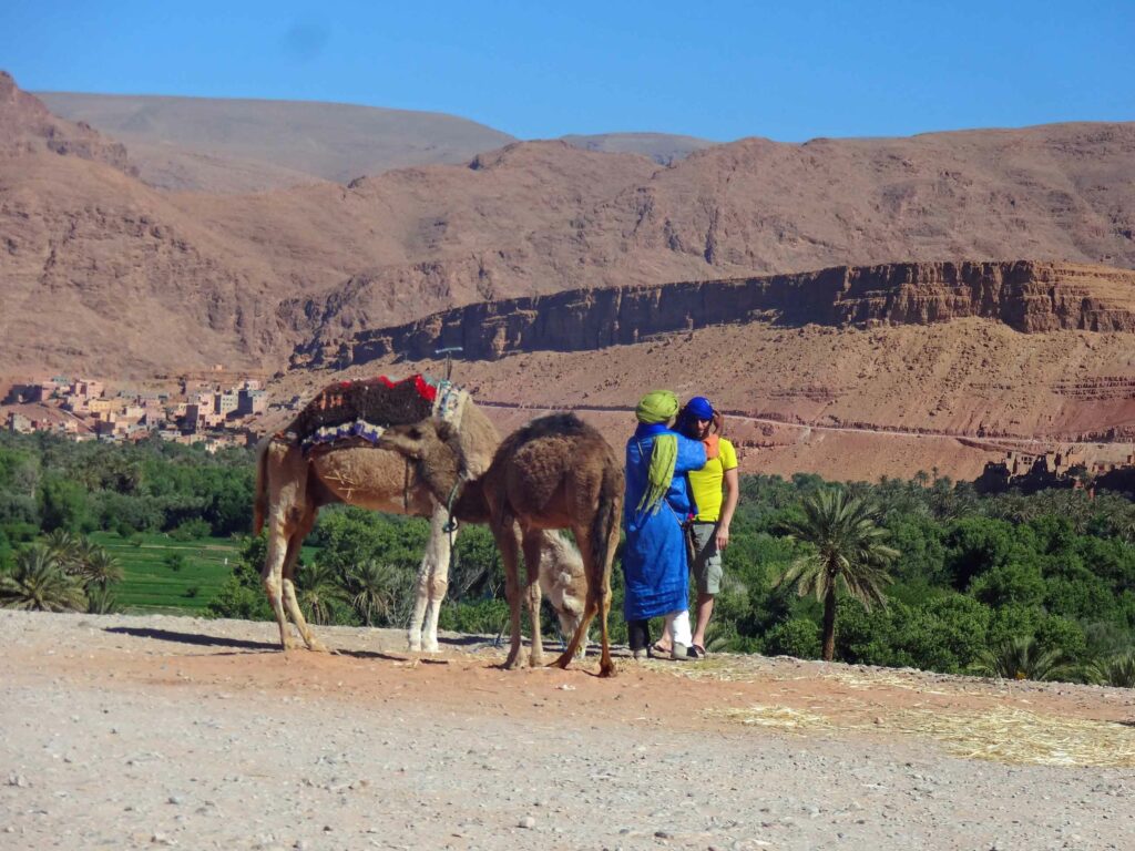Maroc : road trip inoubliable A dos de dromadaire