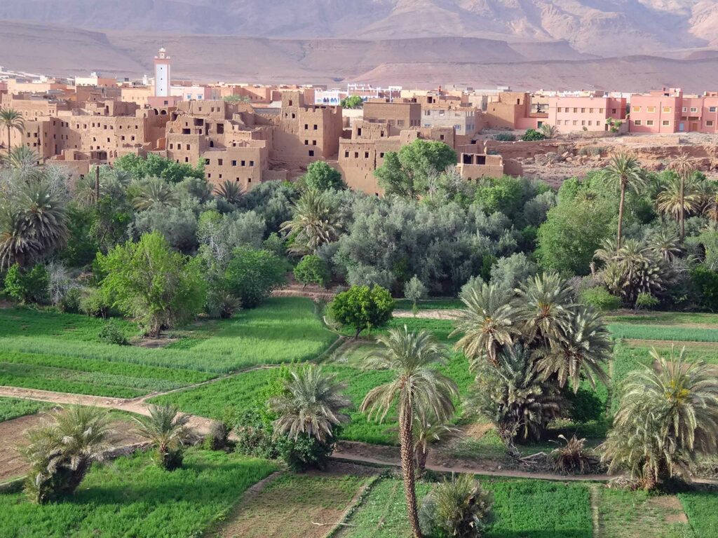 Maroc : road trip inoubliable La palmeraie de Tineghir