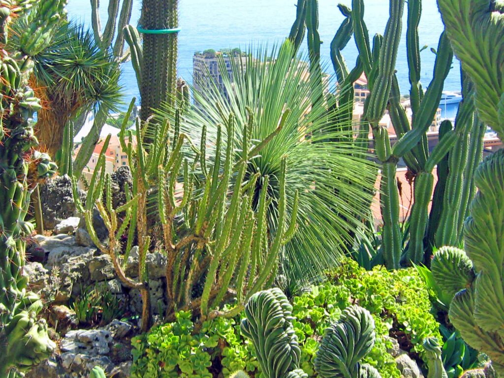 Visiter les îles de Lérins : jardin exotique de Monaco