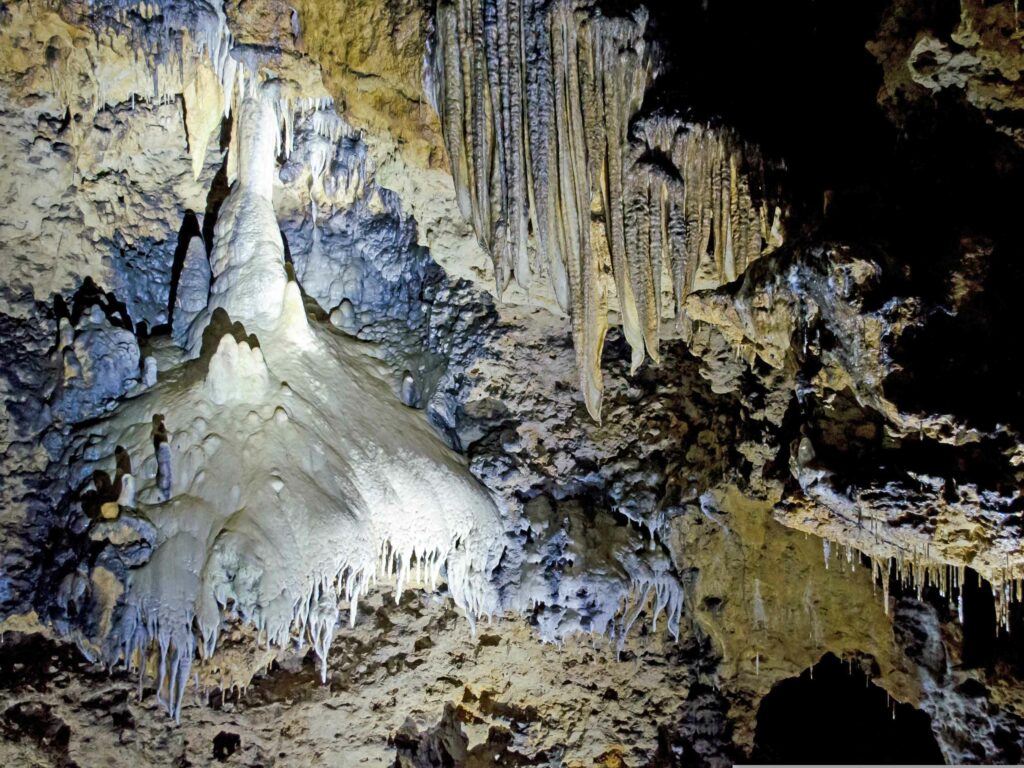 Découverte du Jardin Exotique de Monaco : grotte de l'observatoire