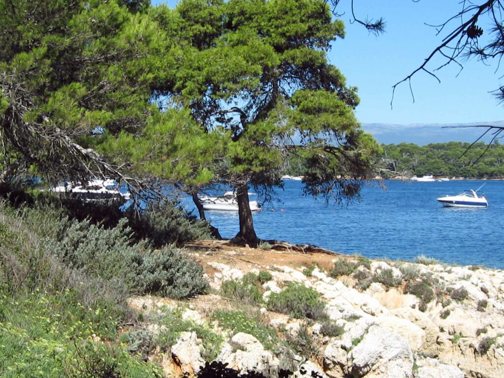 Visiter les îles de Lérins : vue sur la Méditerranée depuis l'île Sainte-Marguerite