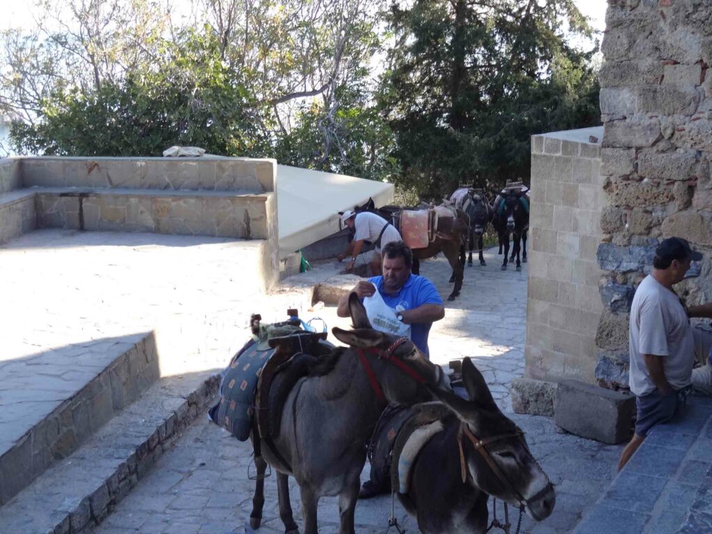 Découvrir Rhodes et Symi : perles du Dodécanèse en mer Égée Les mulets "taxi" de Lindos