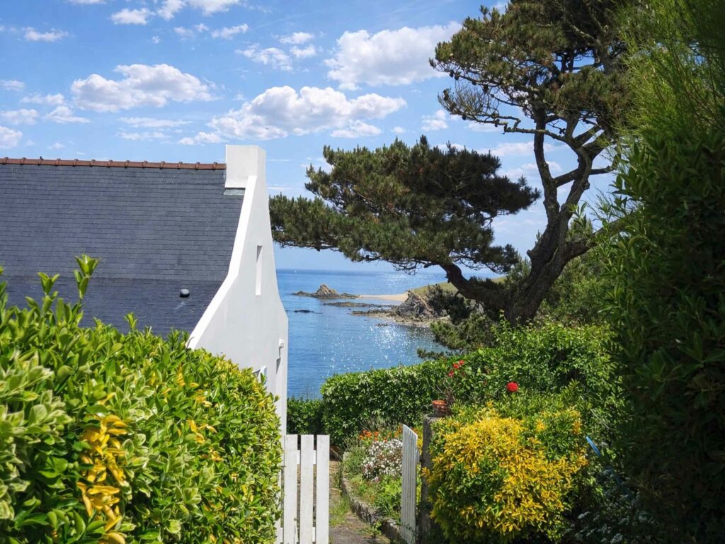 Week-end sur l'Ile aux Moines : Pins maritime