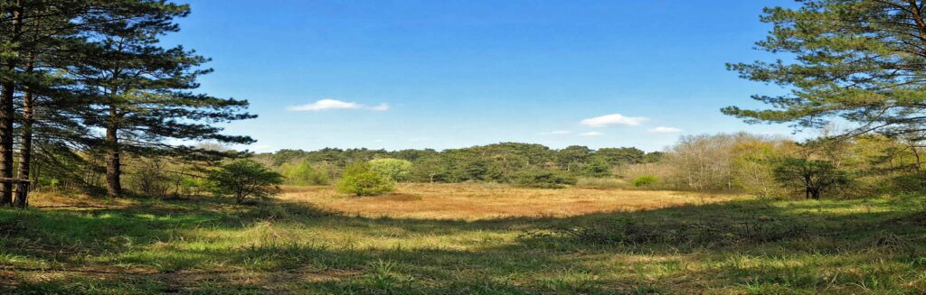 Parc ornithologique du Marquenterre  :  La héronnière