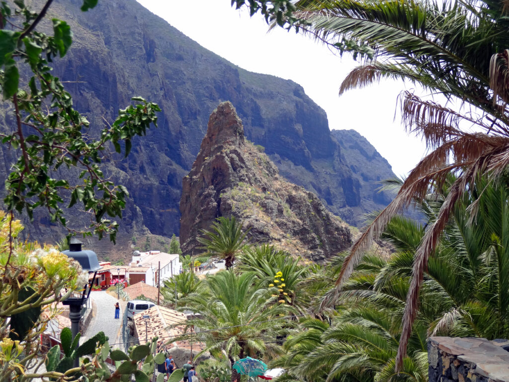 Une semaine à Tenerife Les gorges de Masca