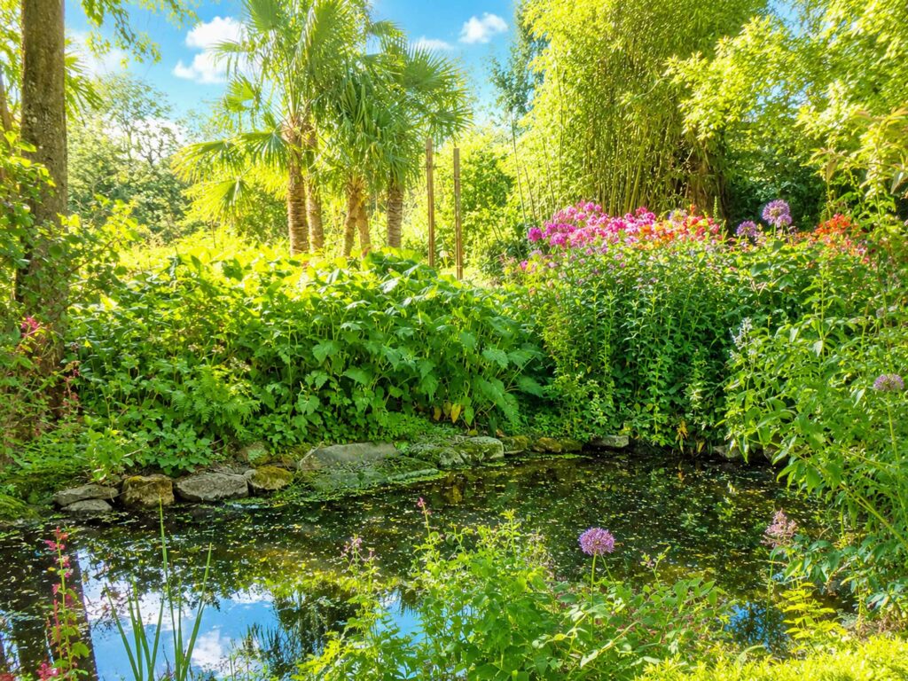 Découvrer le Jardin Agapanthe : miroir d'eau