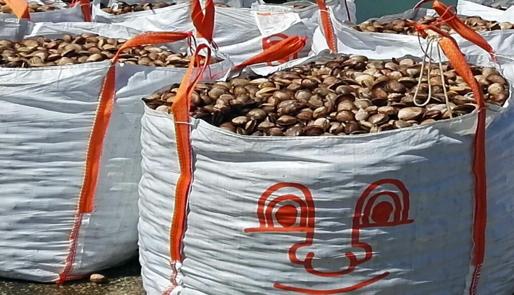 Week-end sur la Côte d'Albâtre : Retour de pêche à Dieppe