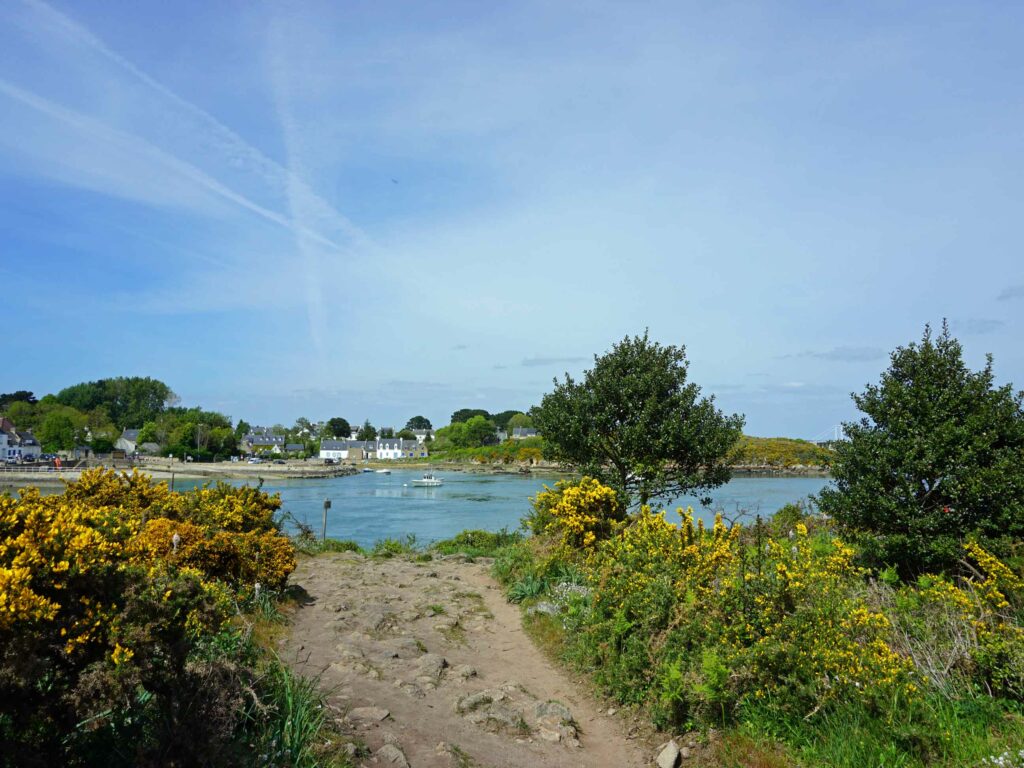 Road-trip dans le Morbihan : Sentier du Blgnac le long de la ria d'Étel