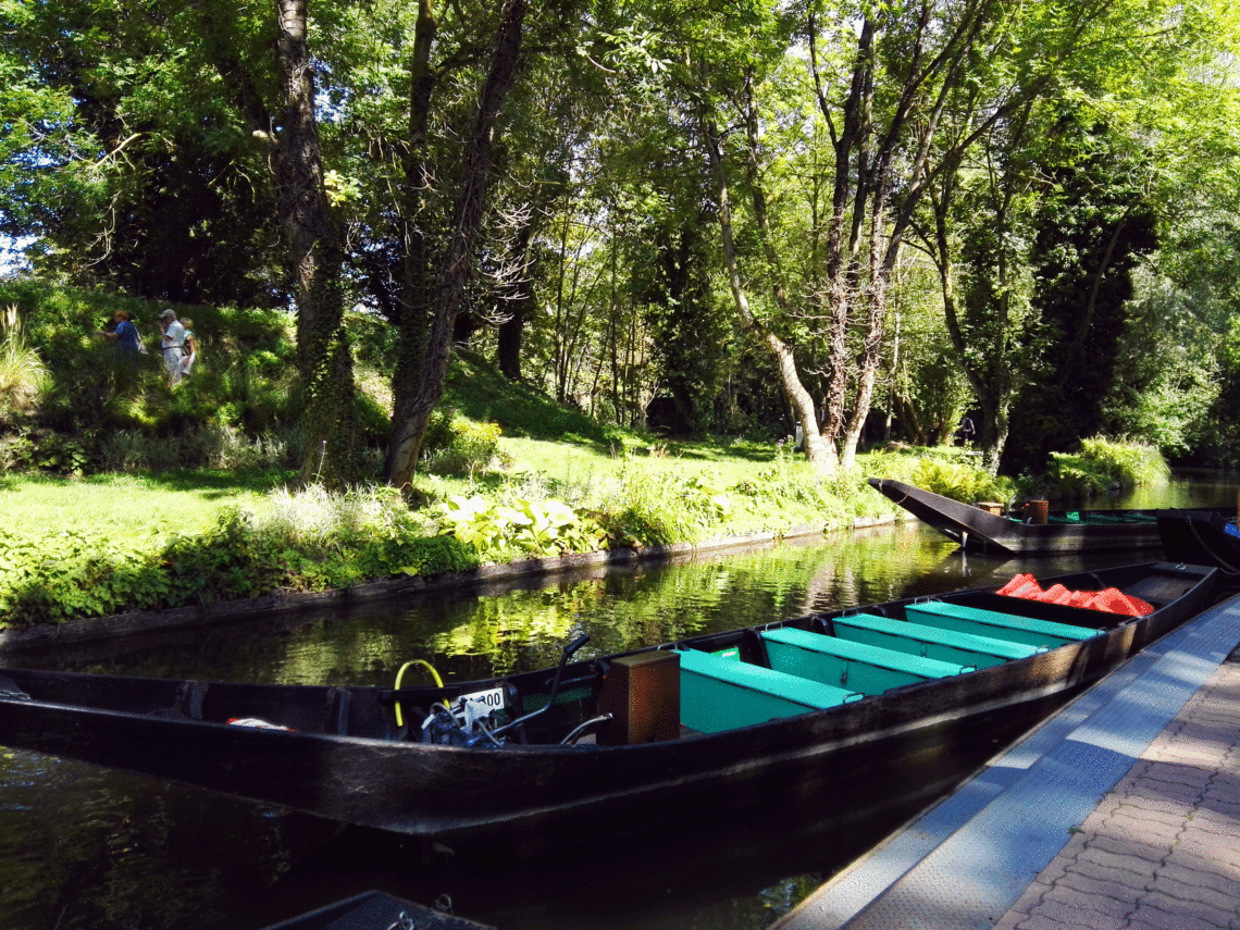 Les Hortillonnages : Visites Guidées En Barque à Cornet Traditionnelle
