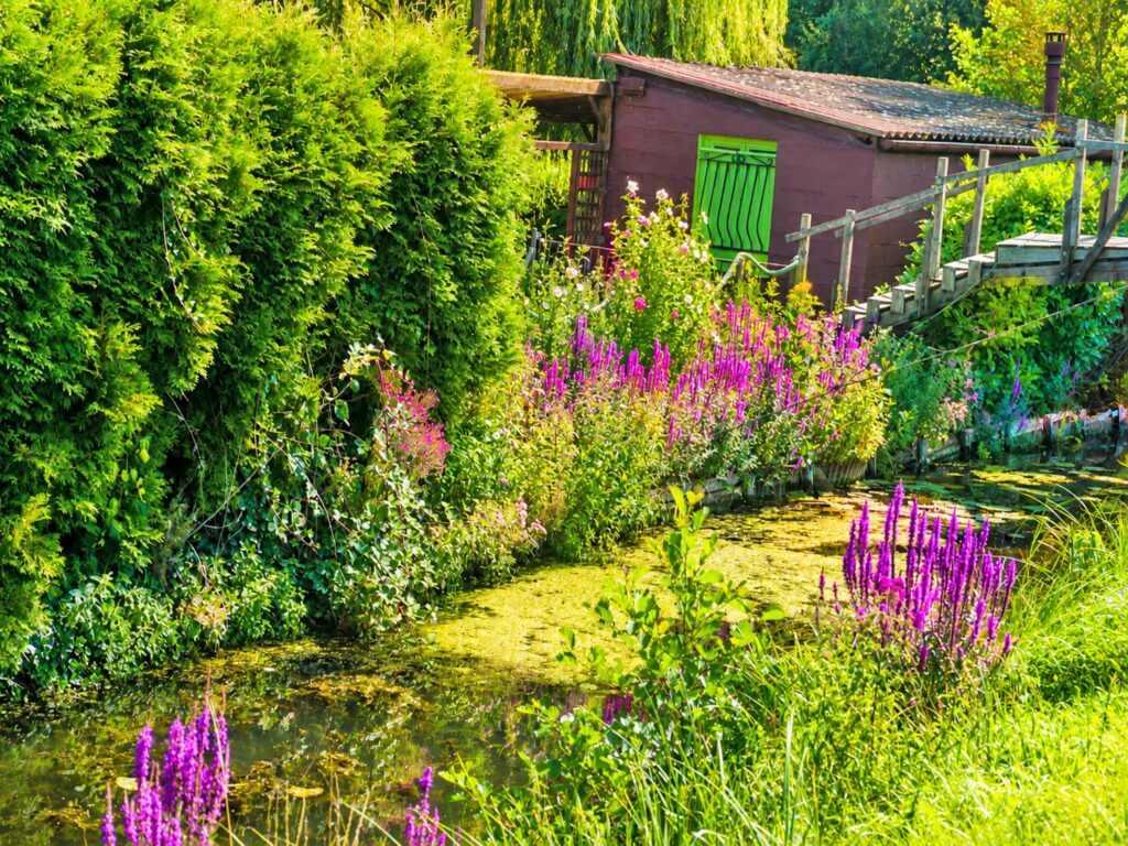 Découvrir les Hortillonnages d'Amiens : découverte à pied Le long de canaux