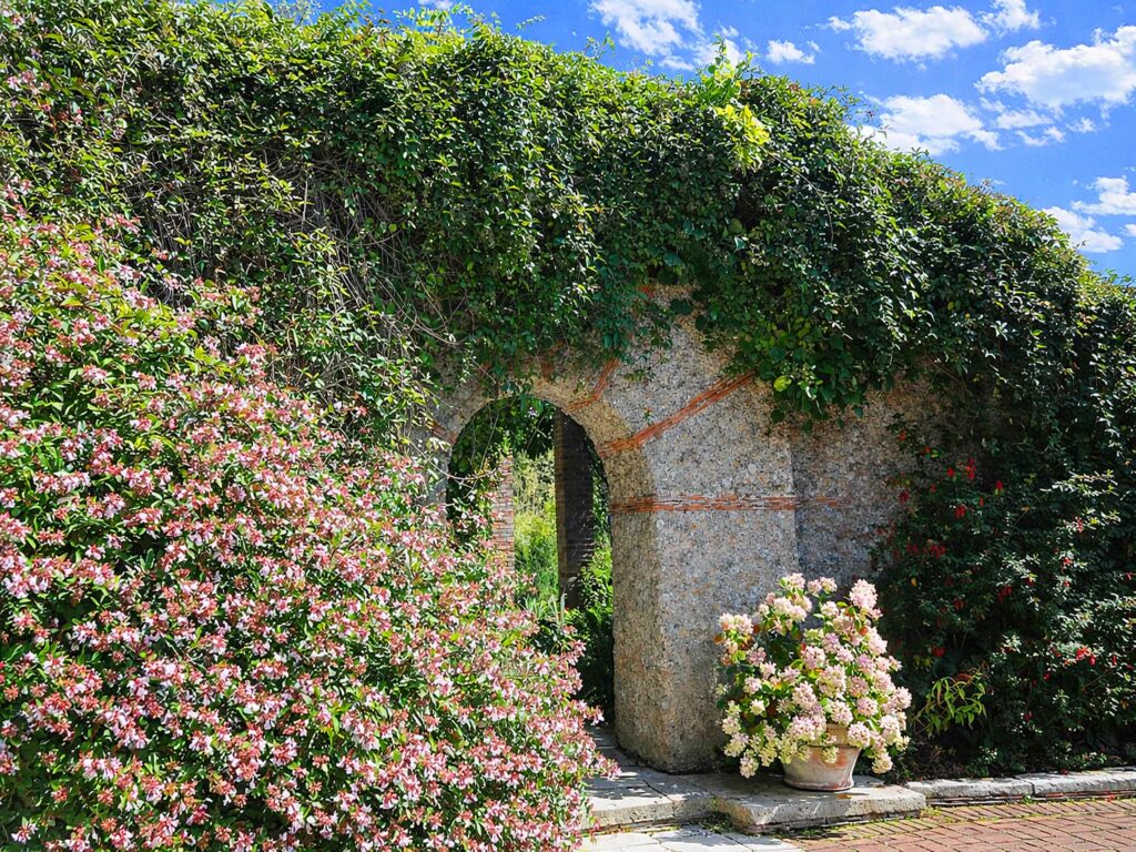 Visiter le Bois des Moutiers en Normandie : murs structuré du Bois des Moutiers
