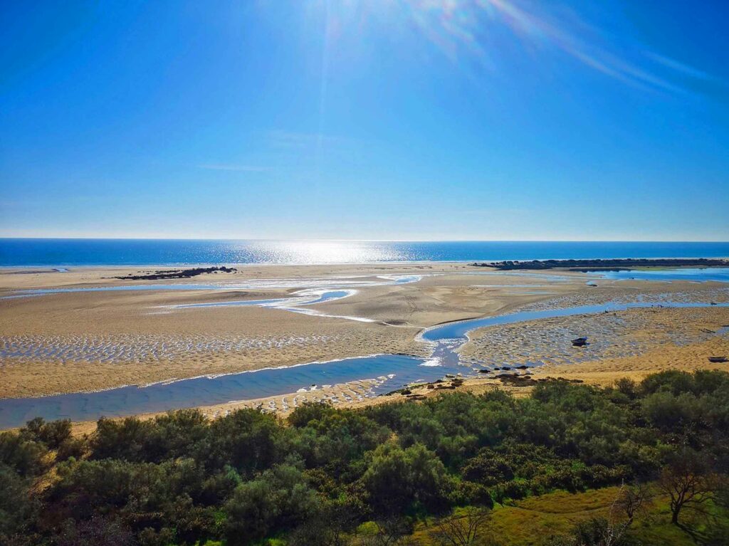 Que faire et voir en Algarve au Portugal : Ria Formosa en Algarve au Portugal