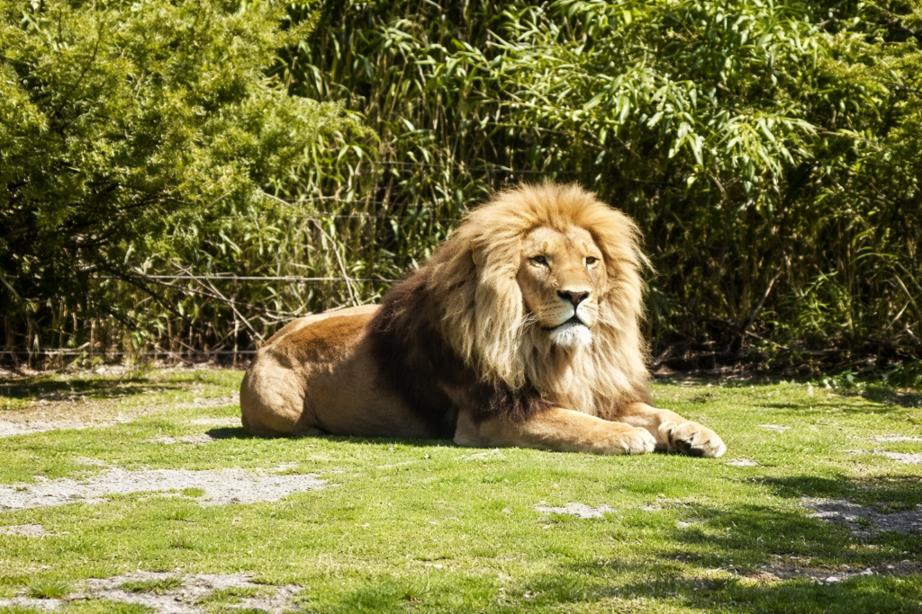 Road-trip en Gironde : Zoo du Bassin d'Arcachon