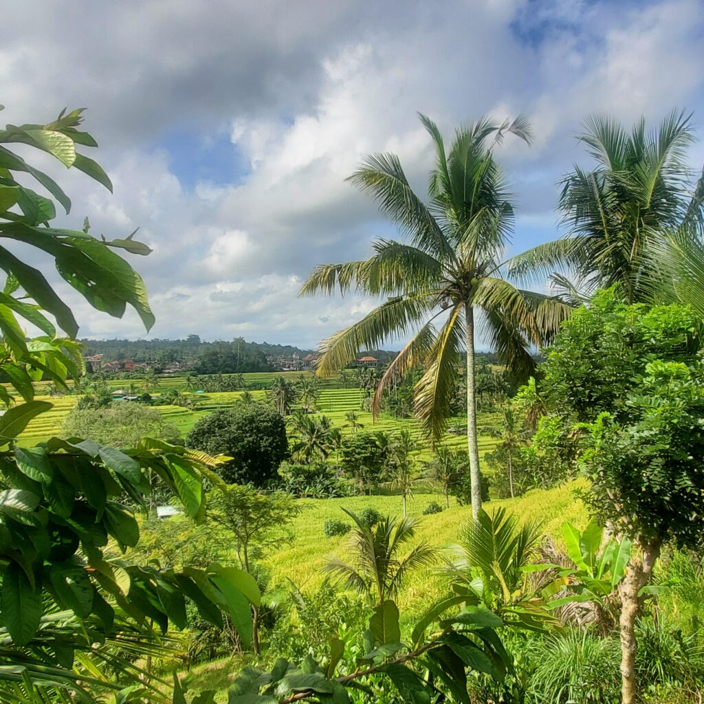 Que visiter à Bali en 10 jours. Au coeur du vert