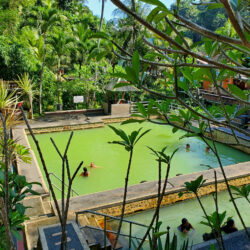 Que visiter à Bali en 10 jours. Bassin d'eau souffrée des sources sacrées de Banjar