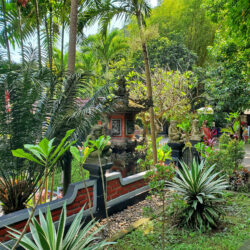 Que visiter à Bali en 10 jours. Écrin de verdure aux sources sacrées de Banjar