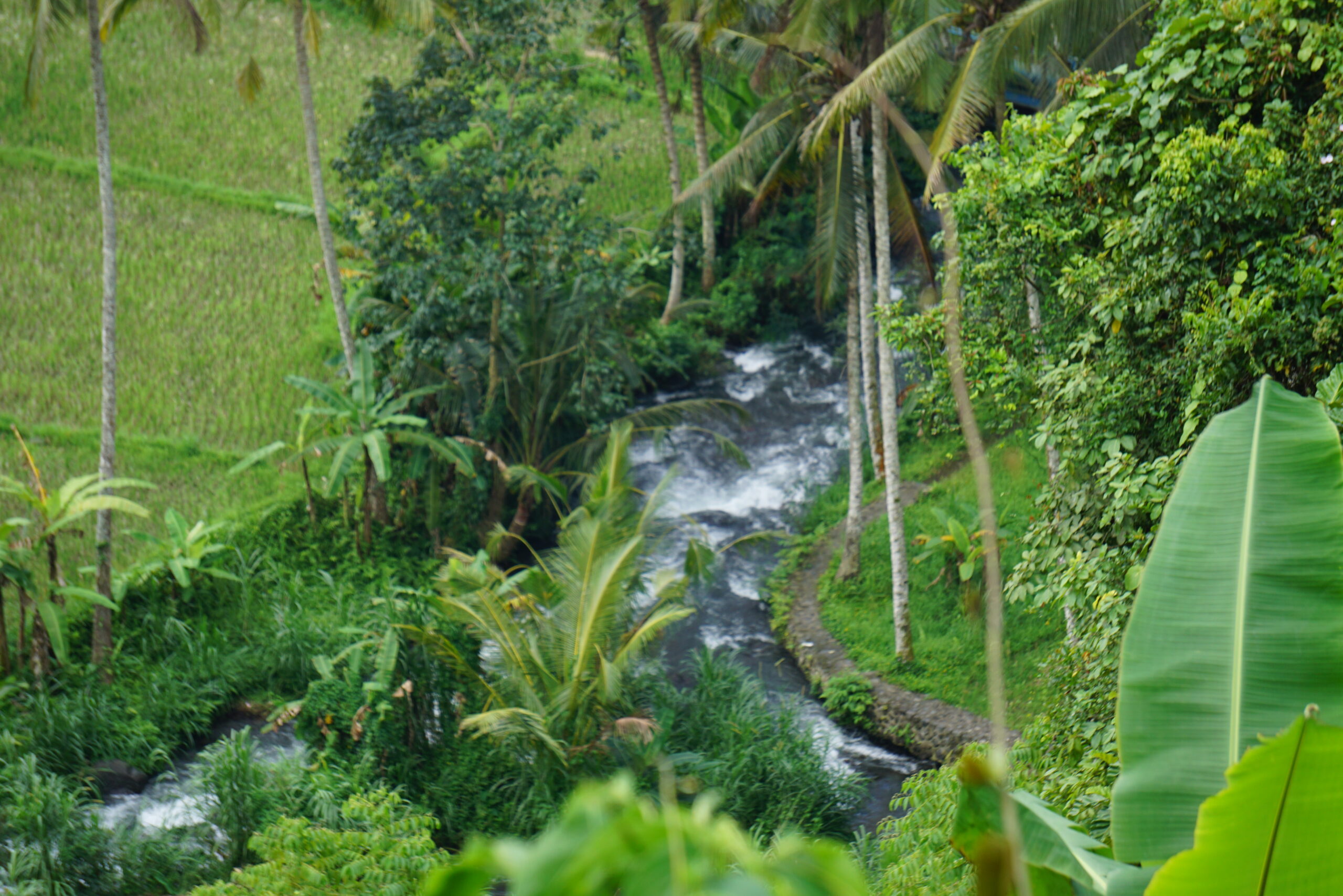 Que visiter à Bali en 10 jours. Les canaux d'irrigation appelés subak alimentant les rizières et descedent des pentes du mont Agung
