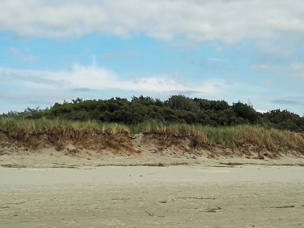 Découvrez la Baie de Somme : Dunes de la Baie de Somme