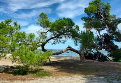 Plage de Lège-Cap-Ferret