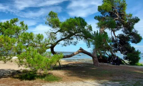 Plage de Lège-Cap-Ferret
