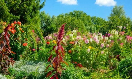 Jardin-d'ornement