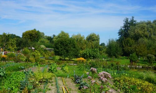 Jardins-partagers